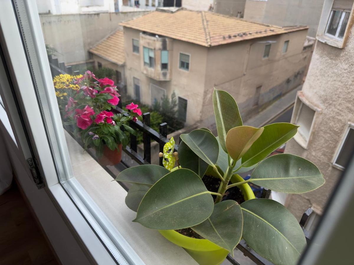 אליקאנטה Antonio Apartments מראה חיצוני תמונה
